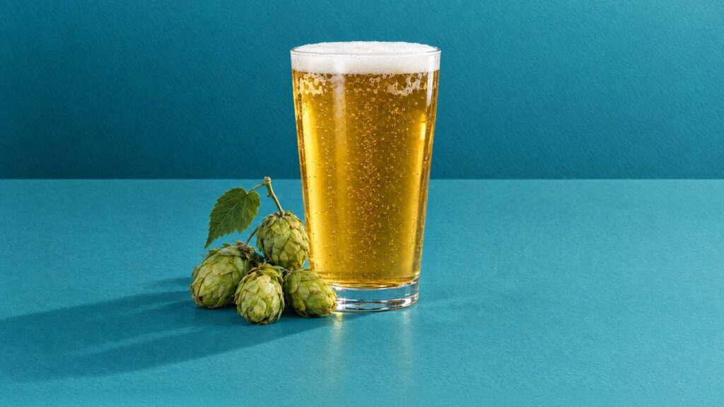 A pint of lager beside fresh green hop cones
